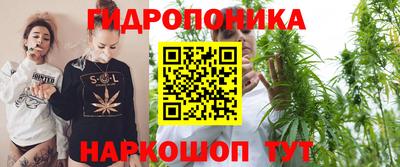 мяу мяу мука Будённовск