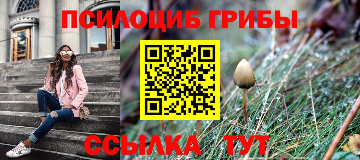 Галлюциногенные грибы ЛСД  Галлюциногенные грибы прущие грибы  Вход с VPN  Заинск 